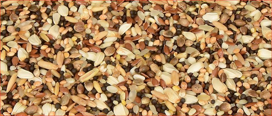 SPECIAL SMALL SPEED MIX (TİP0118-P)
