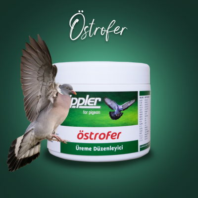 Östrofer