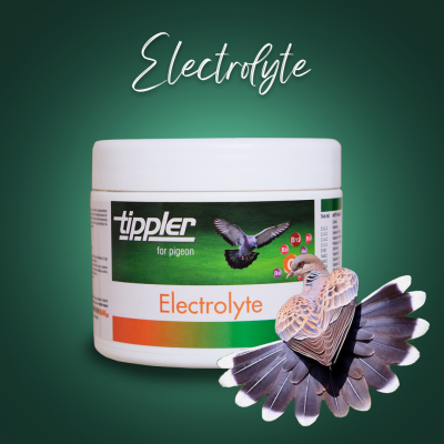 Electrolyte (Likit)