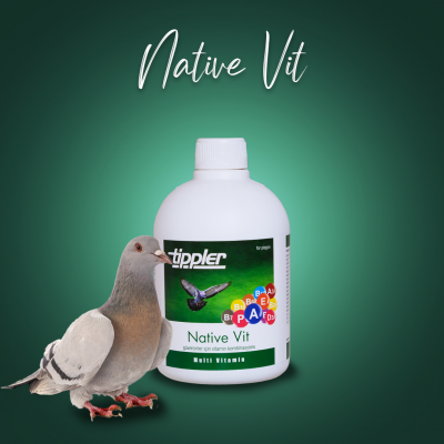 Native Vit