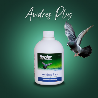 Avidress Plus