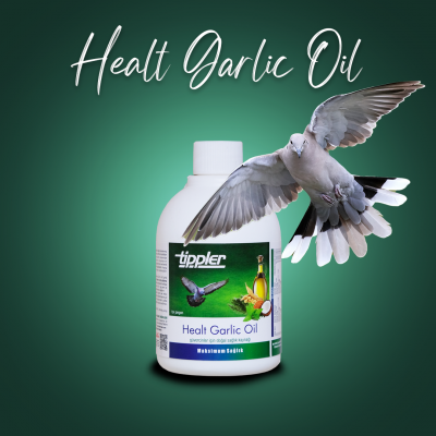 Healt Garlic Oil