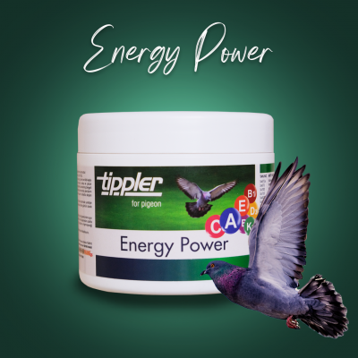 Energy Power