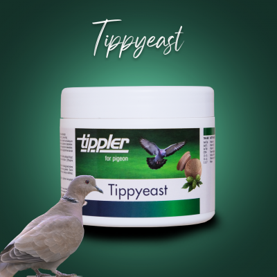 Tippyeast