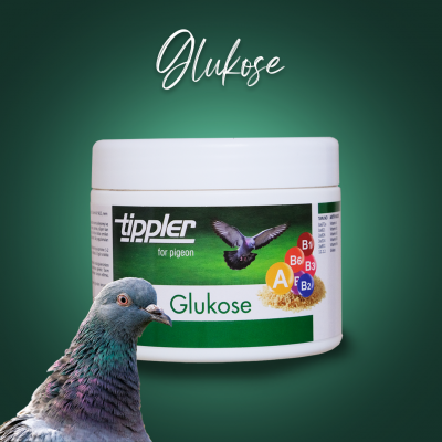 Glukose